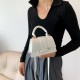 Korean-style fashionable and simple handbag 2023 Autumn and winter new commuting chic single-shoulder crossbody bag solid color PU small square bag