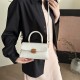 Cross-border trend portable small square women's bag 2025 Spring new style light luxury versatile single-shoulder bag internet-famous crossbody bag