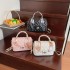 Wholesale small chanel-style silk scarves, hand-held small square bags, women's bags, 2025 summer new diamond-shaped chain single-shoulder bags, trendy crossbody bags