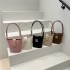 Wholesale fashionable hand-held bucket bags, women's bags, 2025 spring new styles, light luxury and stylish single-shoulder bags, internet-famous and trendy crossbody bags