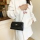 Wholesale French light luxury crocodile print hand-held small square women's bags, 2025 summer new fashion chain single-shoulder crossbody bags Wholesale French light luxury crocodile print hand-held small square women's bags, 2025 summer new fashion chain single-shoulder crossbody bags