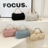 The 2025 new style of fashionable, chic and simple ladies' handbags, dinner bags, and hand-held bags with fresh designs