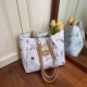 Large-capacity women's bags, 2025 summer new high-end style canvas printed tote bags, commuter single-shoulder handbags